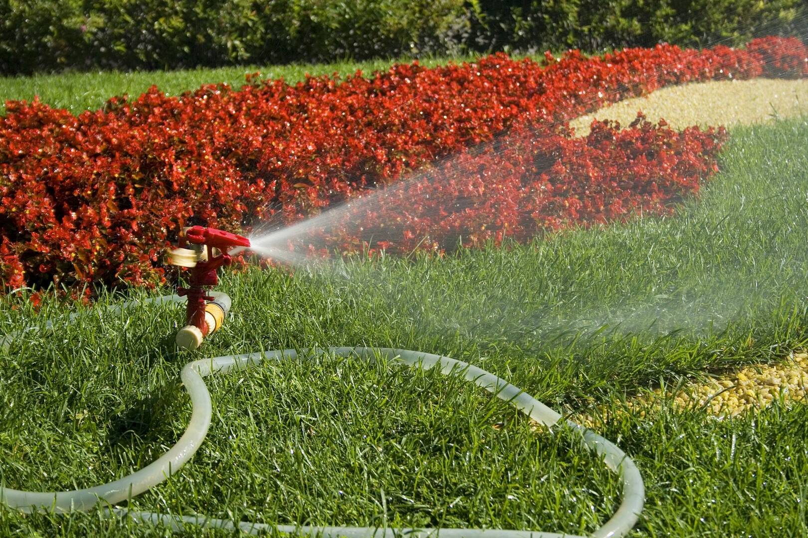 Waccamaw Landscaping & Construction, Inc